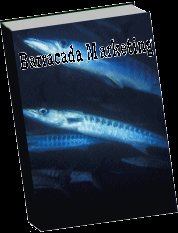 Traffic barracuda
