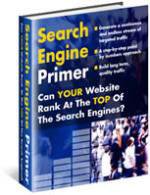 Search Engine Primer eBook