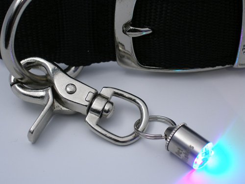 Pet Safety Light