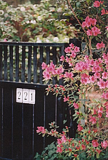 GATE 221