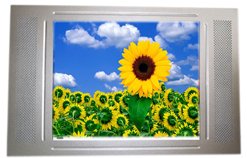 Buildings LCD AD Player(15 inch)