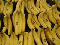 banana