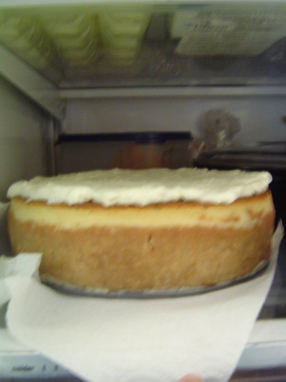 Lemon Cheesecake