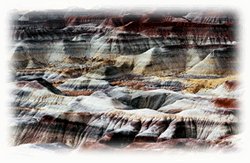 The Painted Desert Tour by TourAZ, Arizona