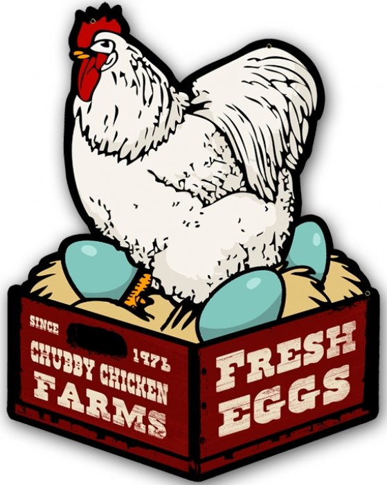 Chicken Fresh Eggs Custom Metal Shape