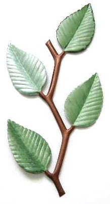 Banding Vine Leaf