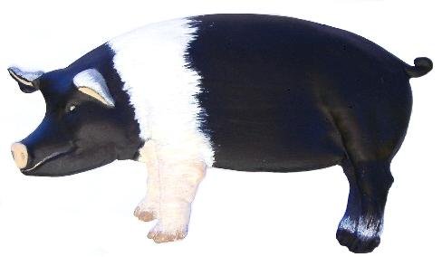 Pig | Refrigerator Magnet | Handpainted Magnets | Animal Magnets
