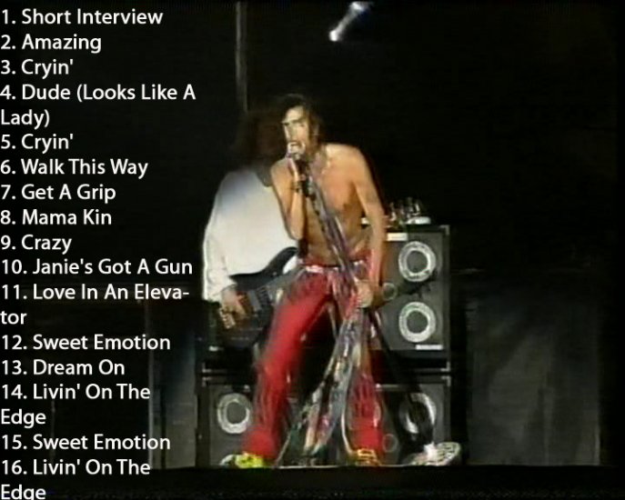Aerosmith 1994 Live DVD