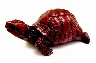 Tortoise of Happiness