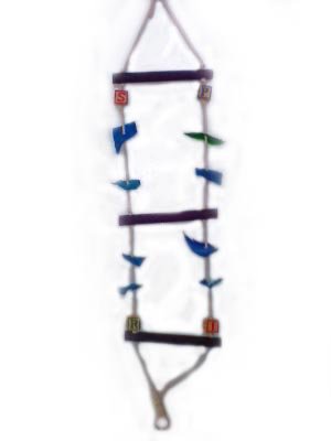 Tropical Parrot Ladder