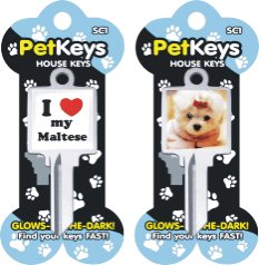 Klinky Maltese pet dog key blank 816