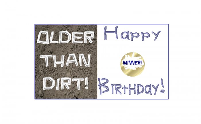 12 OLDER THAN DIRT Birthday Favors Scratch Off Game Tickets PERSONALIZED