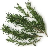 Rosemary Leaves