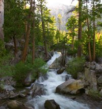 Flagstaff Area