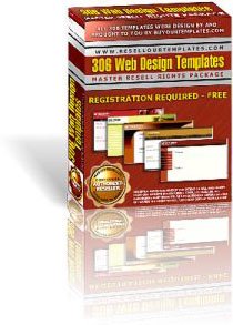 306 Website Design Template