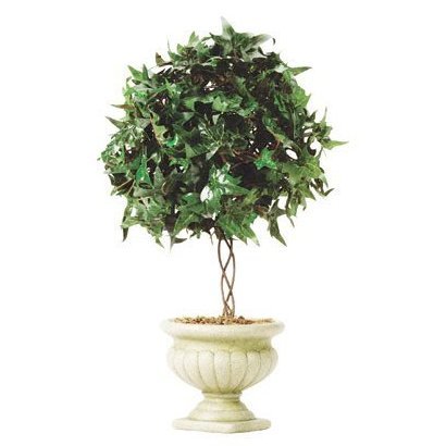 Ivy Topiary in Alabastrite Pot