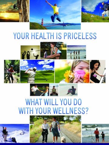 Your Health is Priceless Poster