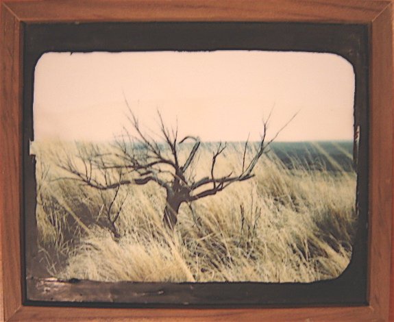 i'd sit on the plateau and watch the pelicans take off in a glimmer of silver