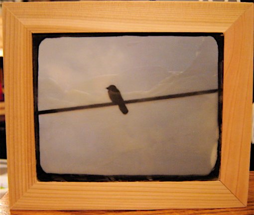bird on a wire
