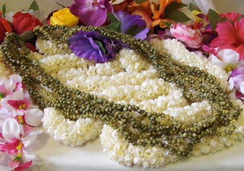 Hawaiian hula lei necklace green shell NEW