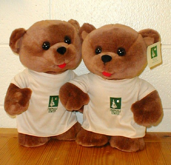 Ebby Bear