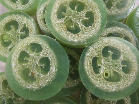 Cucumber Melon Loofah Soap