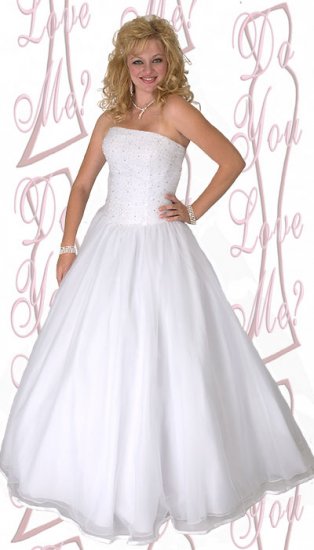 Ball Gown -PLUS Size (DYLM 1807)