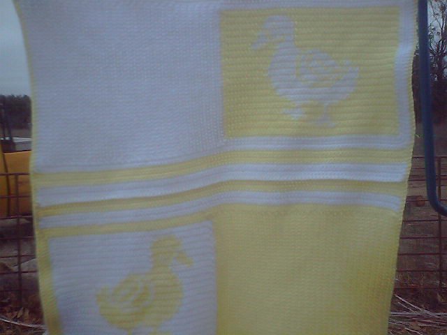Duck baby throw