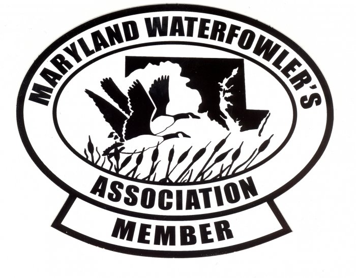 Novice Membership
