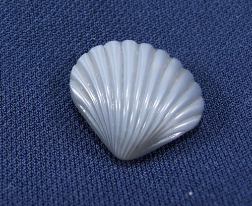 Silver Sea Shell Button