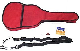 guitar gigg bag (dsp)