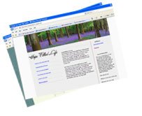 Custom Website Design 5 pg Package
