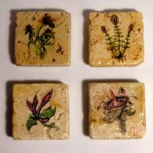 Set of Four Magnets