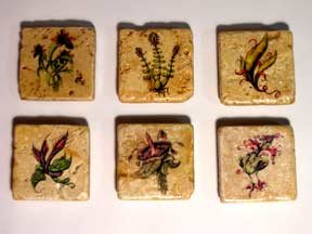Set of Six Magnets