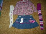 Gymboree Pretty in Plums 3T NWT