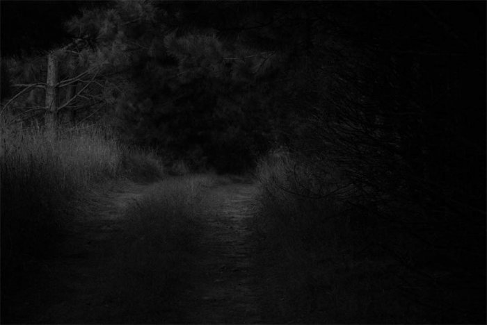 Trail