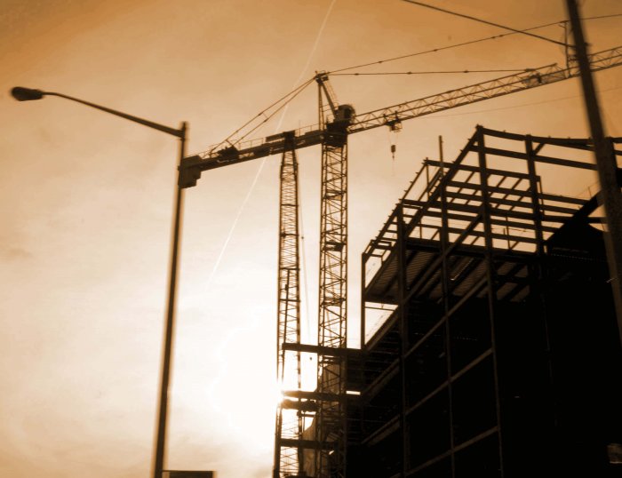 Crane