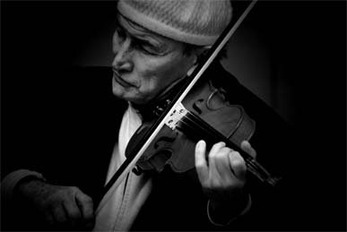 Violin