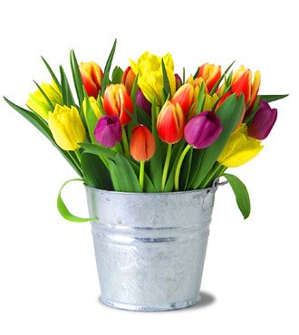 Flower Bucket