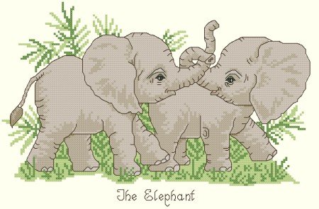 Playful Baby Elephants