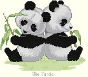 Snacking Baby Pandas