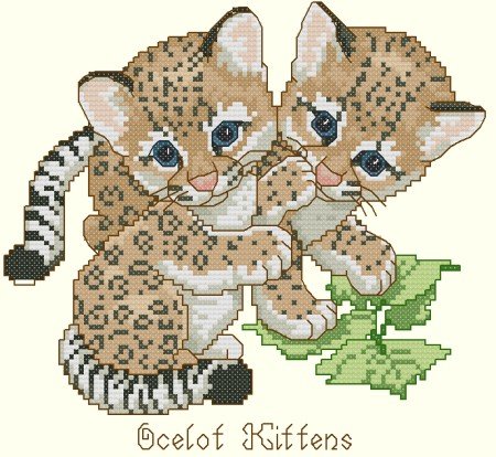 Pair of Ocelet Kittens