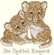 Baby Spotted Leopard