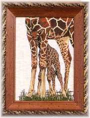 Framed Giraffe Picture
