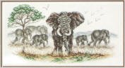 Elephants Grazing Picutre