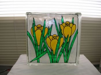 Hand Painted Iris Glass Block Light