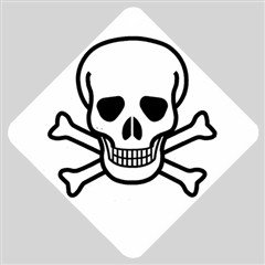 Jolly Roger Car Window Sign