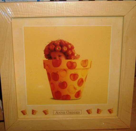 Ann Geddes 3 x 5 print flower pot baby, NEW LOOK!