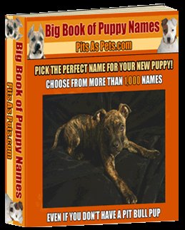 ***Big Book of Puppy names***