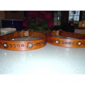 Leather Dog Collar